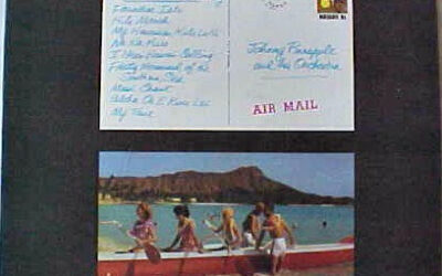 Johnny Pineapple – Johnny Pineapple & Co. From Hawaii (Sears Label)